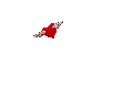aniv11.gif (5837 bytes)